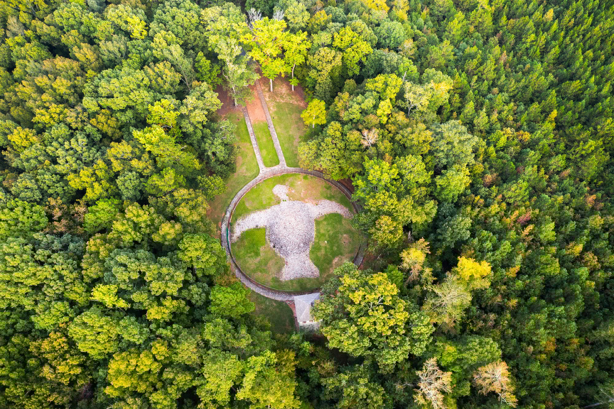 AdobeStock_387758443_Rock Eagle, GA